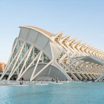 Museu de les Ciències de la Ciutat de les Arts i les Ciències (ilustración)