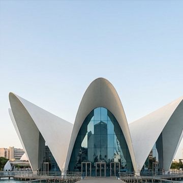 Cubierta del Oceanogràfic de Valencia (ilustración)